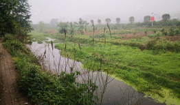 小河沟野钓视频,捕捉自然之美